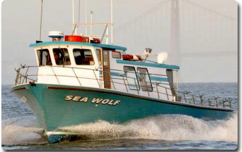 Sea Wolf Sportfishing - Emeryville, CA